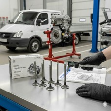 «Комплект клапанов для ЗМЗ 405 Евро-2 и Евро-3: в чем разница и можно ли их заменять?» «Комплект клапанов для ЗМЗ 405 Евро-2 и Евро-3: в чем разница и можно ли их заменять?»