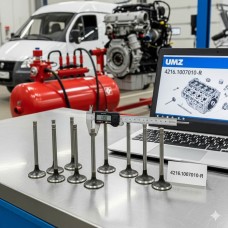 Ремкомплект клапанов УМЗ 4216 (арт. 4216.1007010-Р): выбор для ГБО