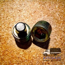 Магнитная пробка КПП и редуктора Магнитная пробка КПП и редуктора